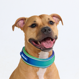 Lime Wave Martingale Collar||size:C,D,E