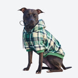 Grün-karierter Hunde Hoodie