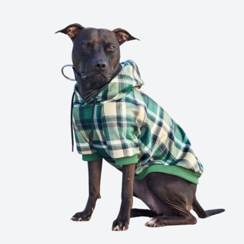 Grün-karierter Hunde Hoodie