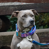 90s Retro Collar||size:XS,S,M,L