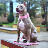 Pink Collar