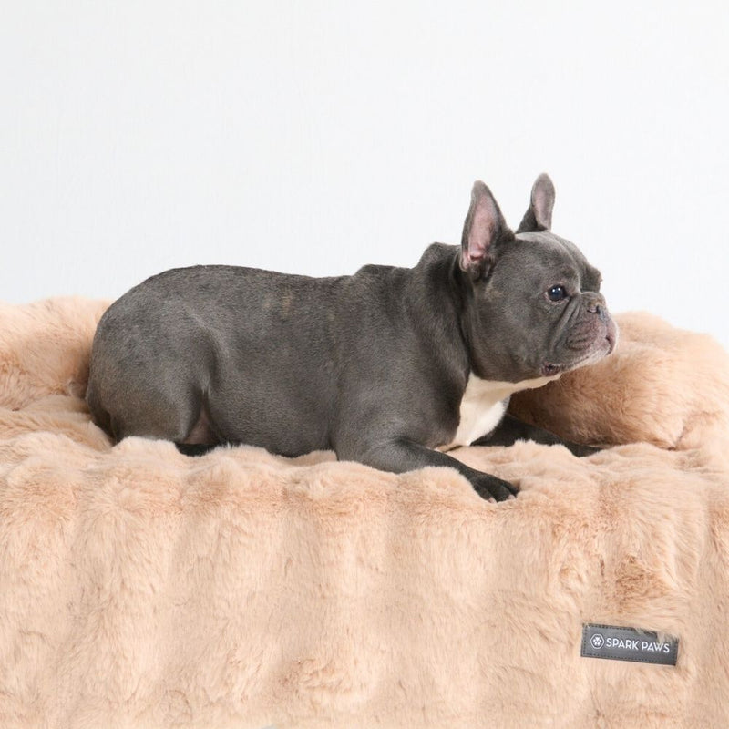 Beruhigendes Flauschiges Sofa-Schonbezug Hundebett - Beige