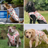 Cherries Cooling Vest||size:S,M,L,XL,2XL,3XL,4XL