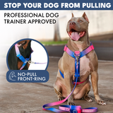 Snow Cone Harness||size:S,M,L