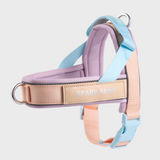 Cotton Candy Grab and Go||size:1,2,3,4,5,6