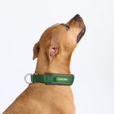 Green Collar||size:C,D,E