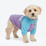 Aqua Lilac Plush Fleece Dog Sweater||size:S