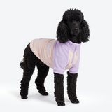 Lilac Cream Plush Fleece Dog Sweater||size:2XL
