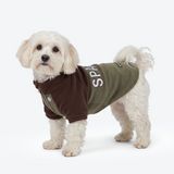 Brown Olive Plush Fleece Dog Sweater||size:S