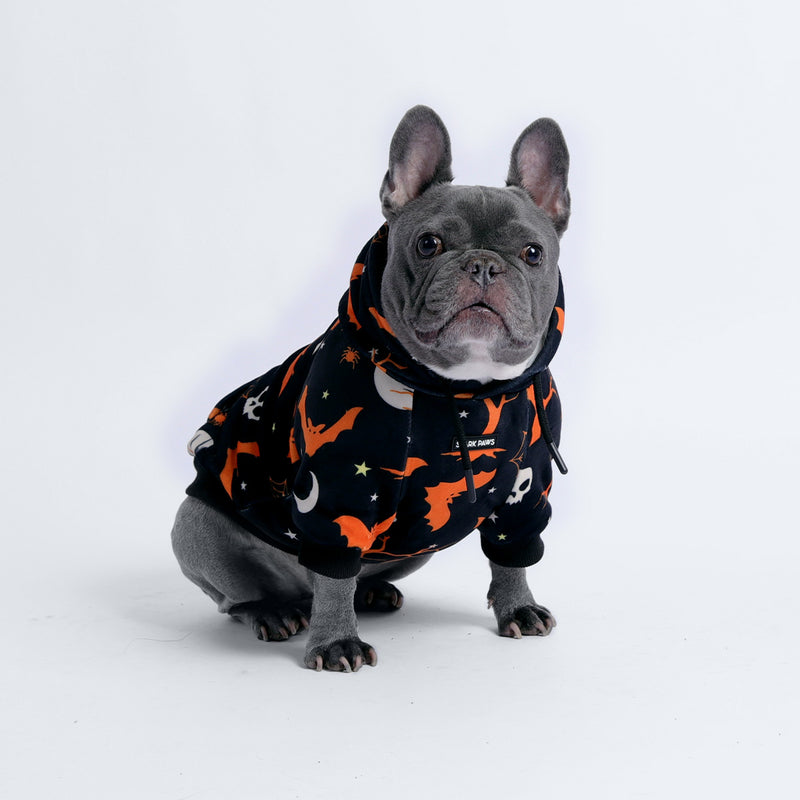 Halloween Hundehoodie - Schwarz
