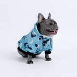 Halloween Dog Hoodie - Teal