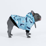 Halloween Dog Hoodie - Teal
