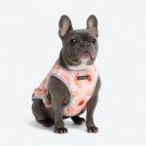 Peaches Cooling Vest||size:L,XL,2XL