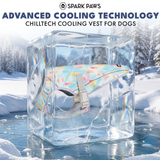 Popsicle Cooling Vest||size:S,M,L,XL,2XL,3XL,4XL