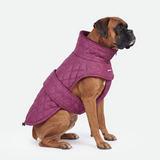 Magenta Quilted Winter Jacket||size:3XL