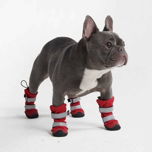 Flex Shell Wasserfeste Hundestiefel - Rot