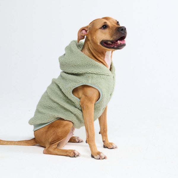 Teddy Sherpa Dog Sweater - Light Green