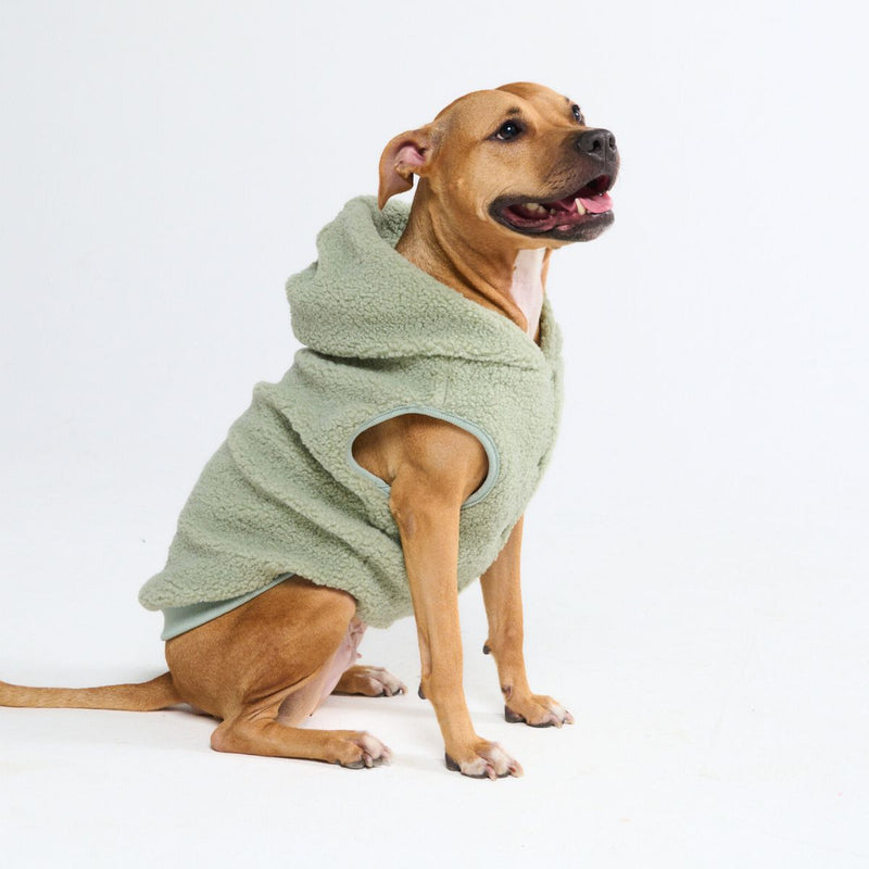 Teddy Sherpa Dog Sweater - Light Green