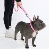 Pink Neoprene Leash