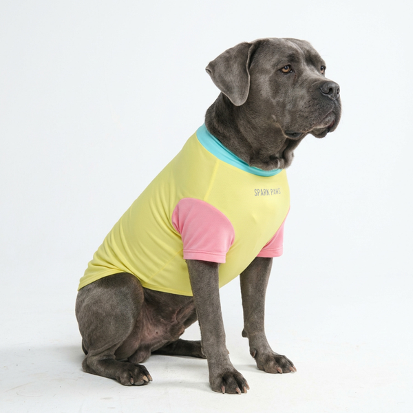Sunblock Dog T-Shirt - Yuzu – SPARK PAWS