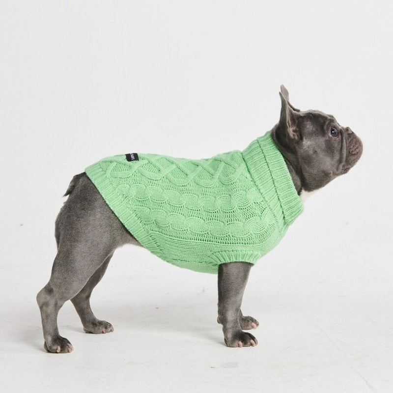 Strickpullover für Hunde - Minzgrün