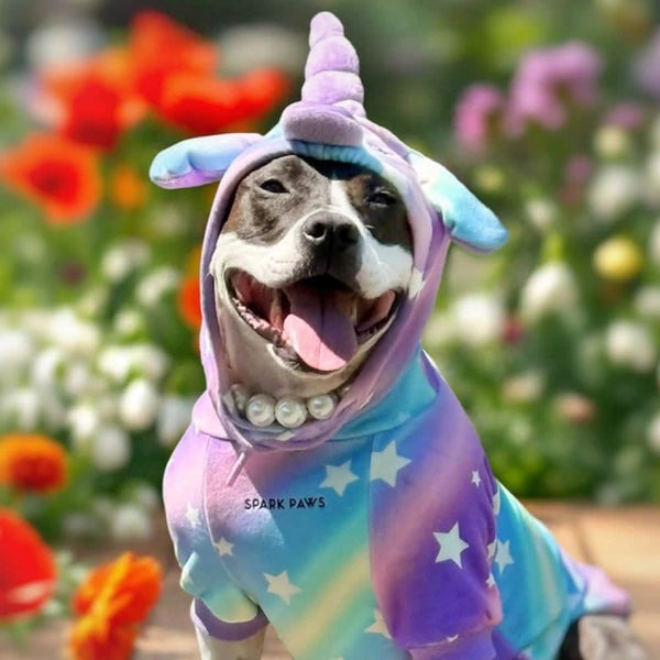 Halloween Hund Hoodie - Einhorn