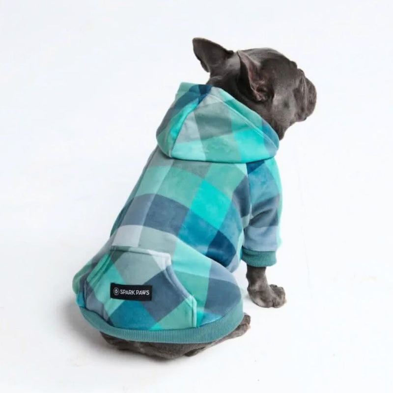 Samtiger Hunde Hoodie - Türkis-karierter
