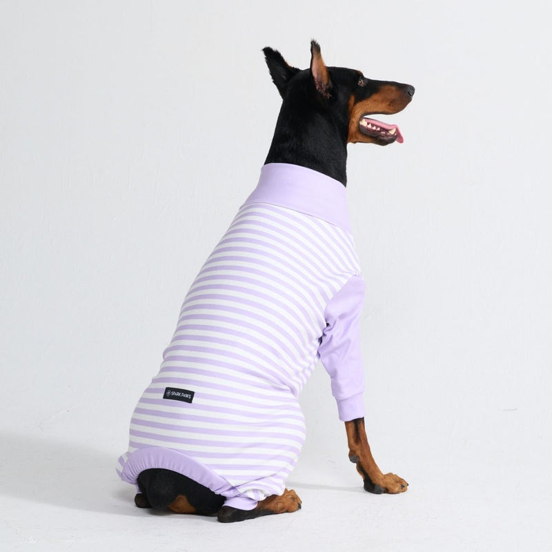 Hunde Pyjama - Lila Streifen