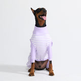 Hunde Pyjama - Lila Streifen