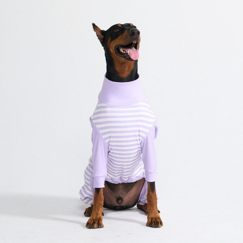 Hunde Pyjama - Lila Streifen
