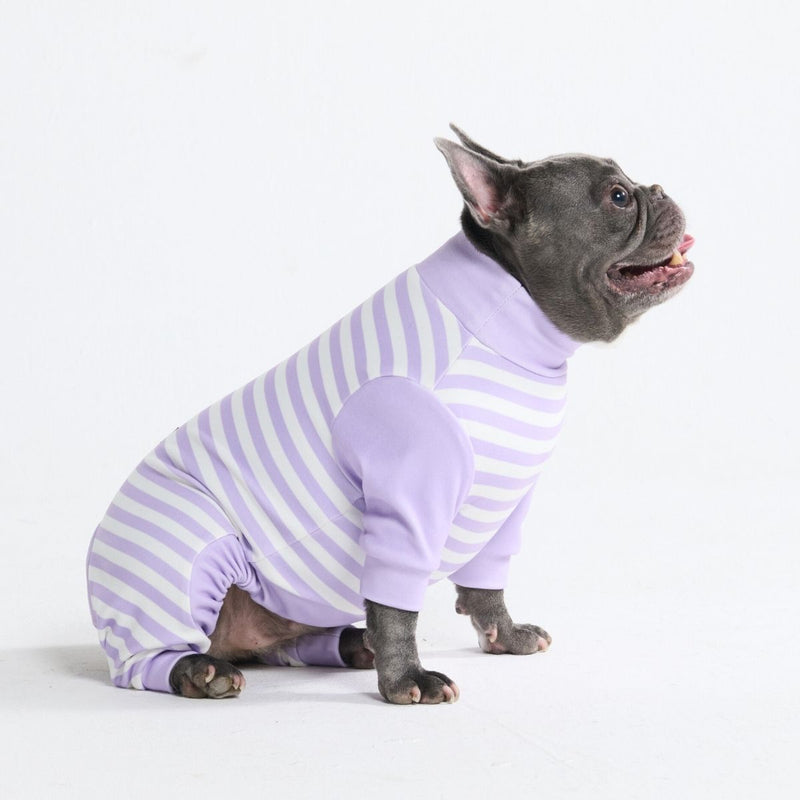 Hunde Pyjama - Lila Streifen