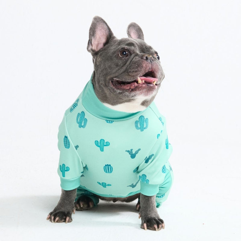 Hunde Pyjama - Kaktus
