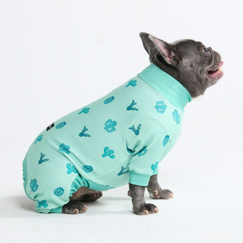 Hunde Pyjama - Kaktus