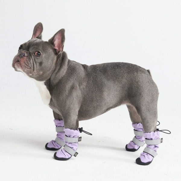 Flex Shell Wasserfeste Hundestiefel - Flieder