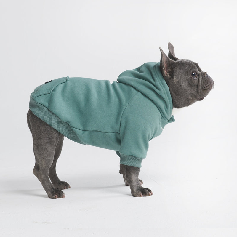 Essentielles Hunde Hoodie - Türkis