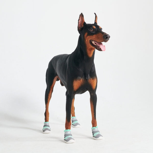 Hot Pavement Pawtector Hundeschuhe - Teal