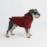 Essentielles Hunde Hoodie - Burgunder