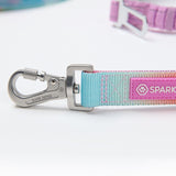 Pastel Icing Neoprene Leash