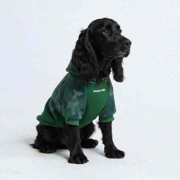 Waldtarn-Hundehoodie
