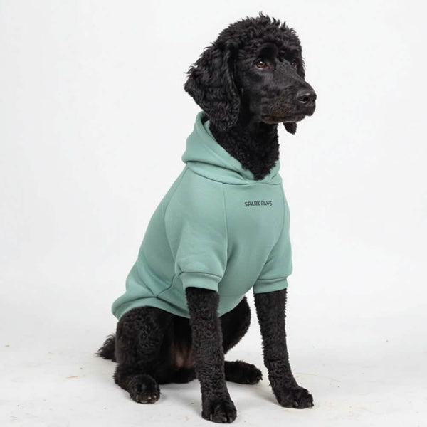 Essential Teal Hoodie