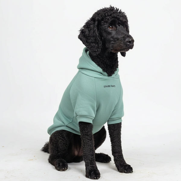 Essentielles Hunde Hoodie - Türkis