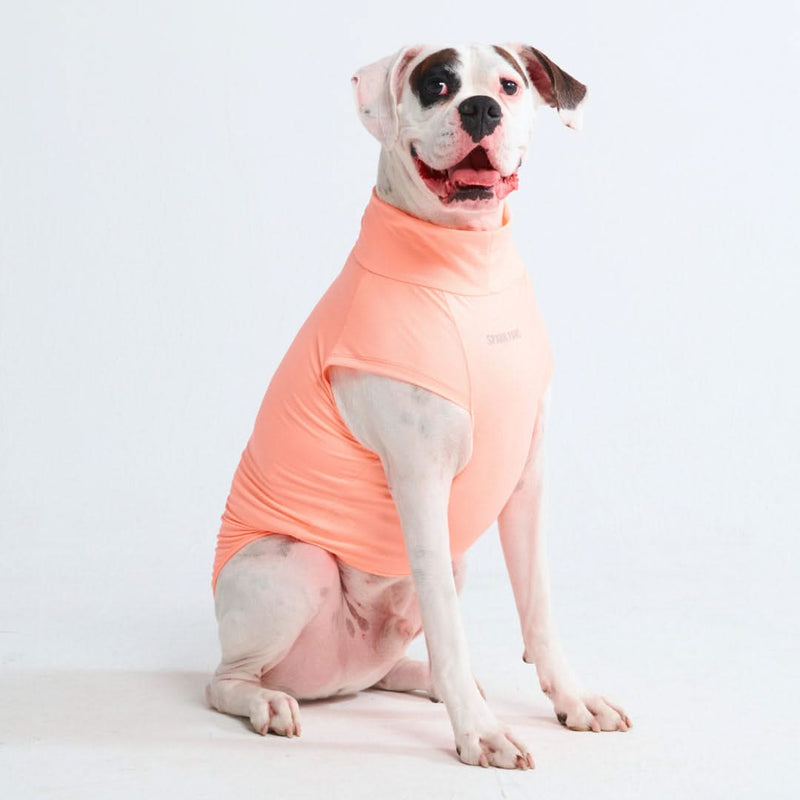 Sunblock Dog T-Shirt - Peach