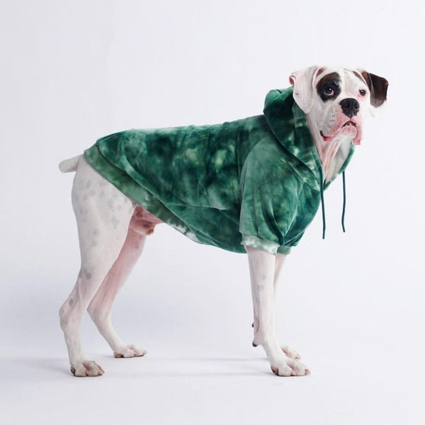 Velvet Dog Hoodie - Emerald Green