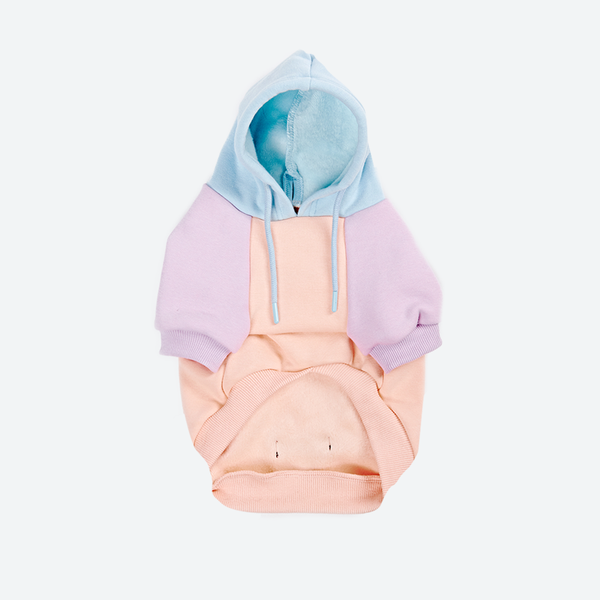 Cotton Candy Dog Hoodie