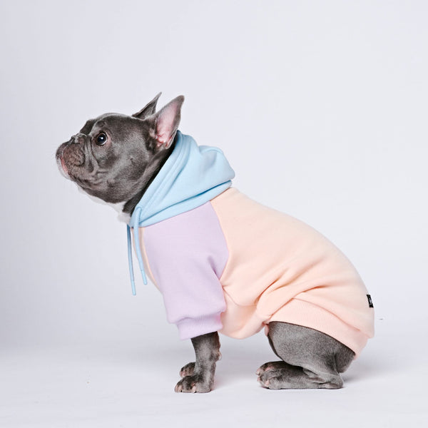 Bonbon Hunde Hoodie