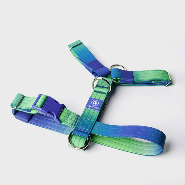 Comfort Control No-Pull Dog Harness - Lime Wave